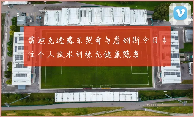 雷迪克透露东契奇与詹姆斯今日专注个人技术训练无健康隐患