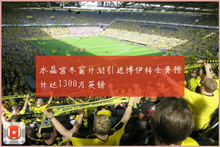 水晶宫冬窗计划引进博伊转会费预计达1300万英镑