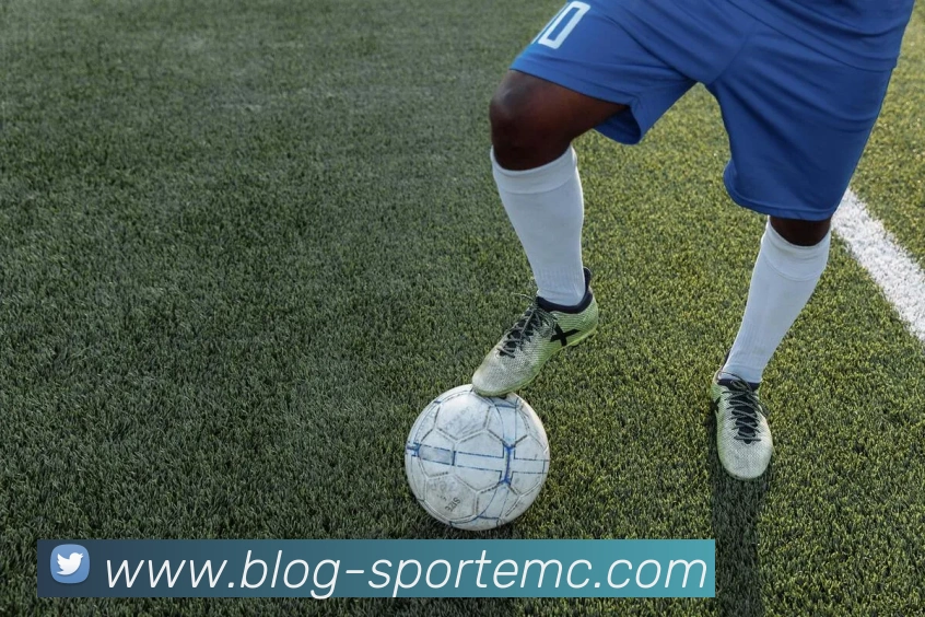 易倍体育平台生态图